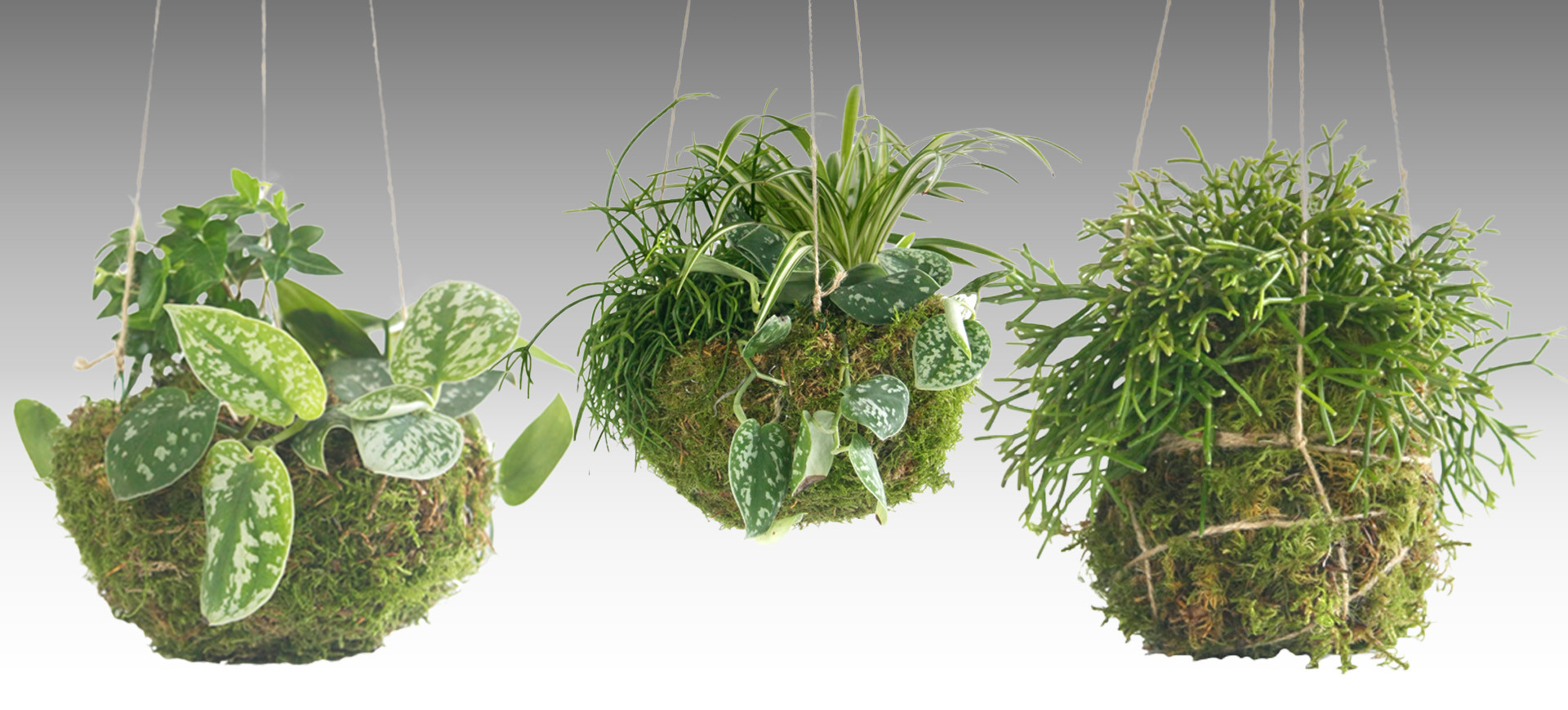 ECO-FRIENDLY GIFTS