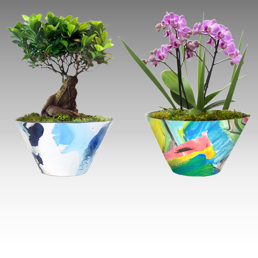 ORCHIDS & BONSAI