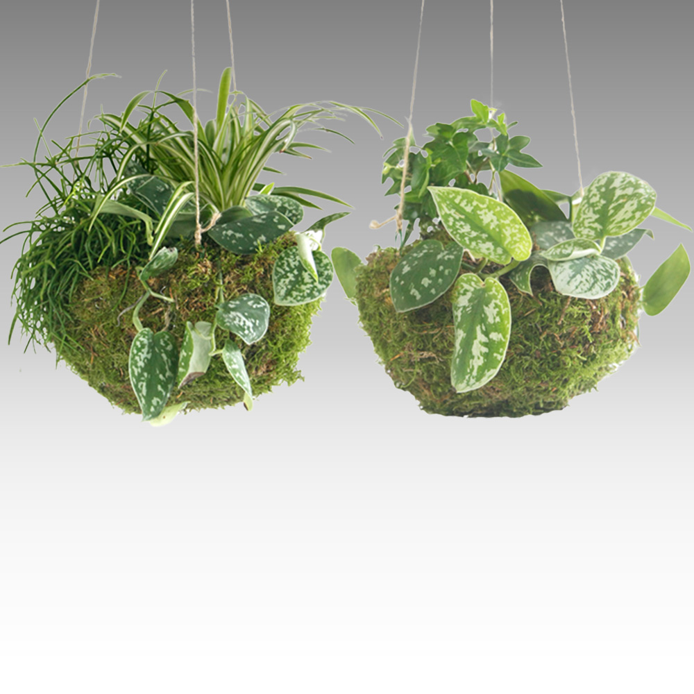 ECO-FRIENDLY GIFTS